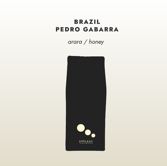 Brazil Pedro Gabarra