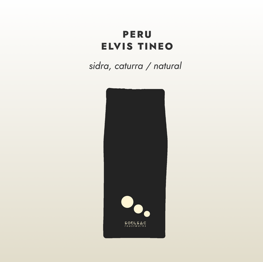 Peru Elvis Tineo